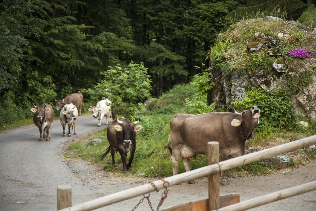Agriturismo Alagna Buitenkant foto