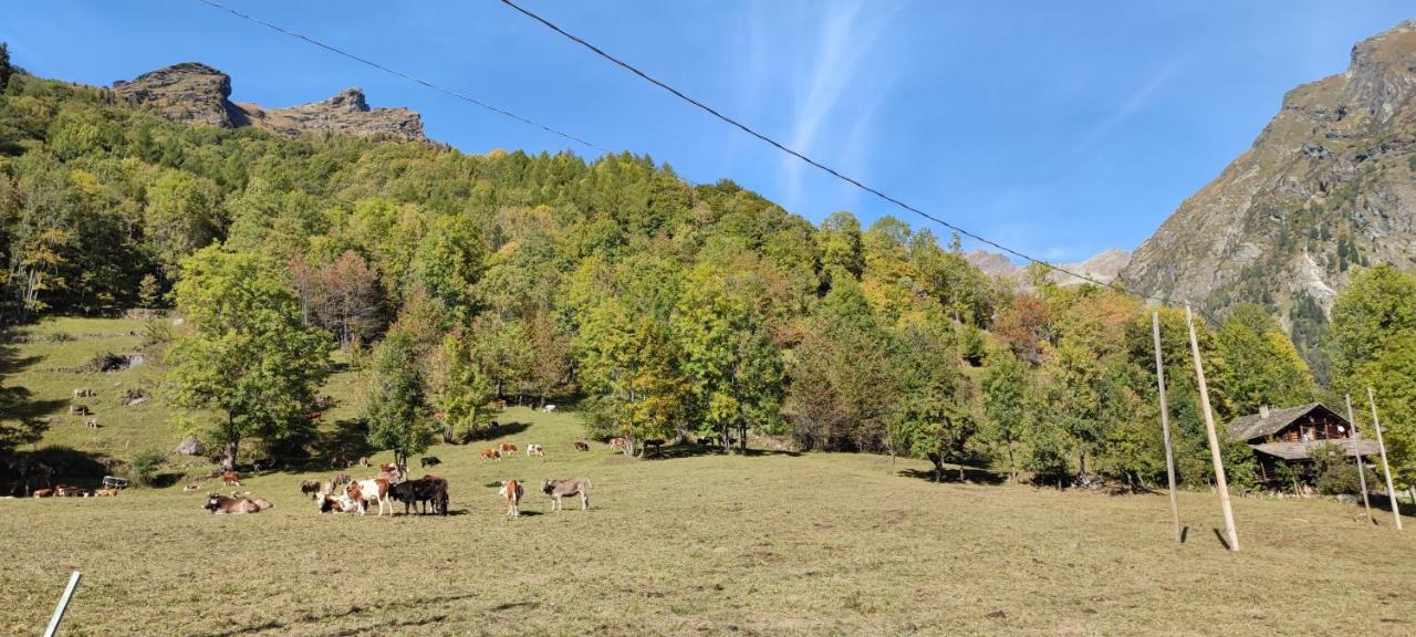 Agriturismo Alagna Buitenkant foto