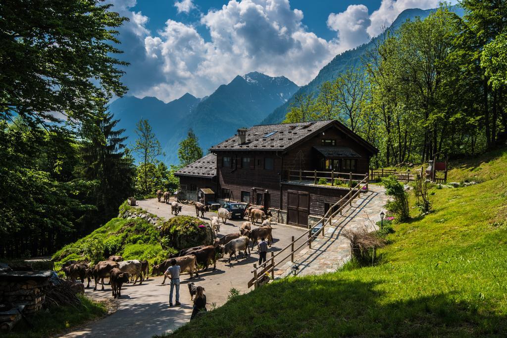 Agriturismo Alagna Buitenkant foto